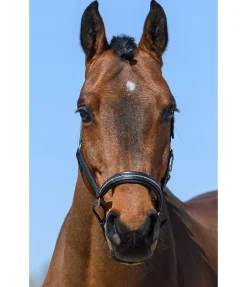 Outlet Licol en cuir orné de strass Selina Licols En Cuir