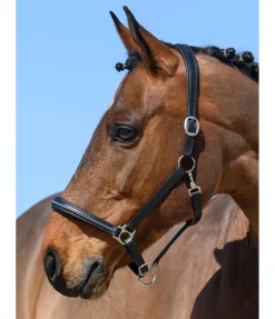 Outlet Licol en cuir orné de strass Selina Licols En Cuir