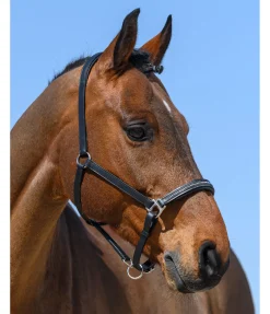 Outlet Licol en cuir orné de strass Selina Licols En Cuir