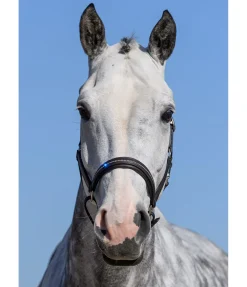 Hot Licol en cuir orné de strass Selina Licols En Cuir