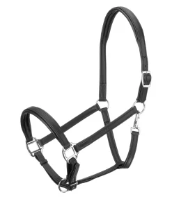 Hot Licol en cuir synthétique SYLKA Animal Friendly Licols Pour Poneys & Poulains|Licols Synthétiques