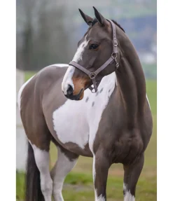 Sale Licol en nylon à prix cassé II Licols Pour Poneys & Poulains|Licols Synthétiques