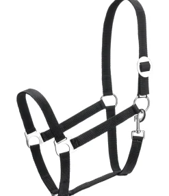 Online Licol en nylon à prix cassé Licols Pour Poneys & Poulains|Licols Synthétiques