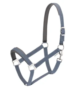 Online Licol en nylon à prix cassé II Licols Pour Poneys & Poulains|Licols Synthétiques