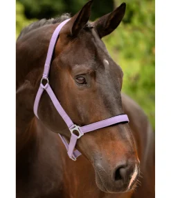 Clearance Licol en nylon à prix cassé II Licols Pour Poneys & Poulains|Licols Synthétiques