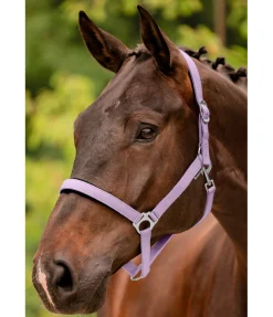 Clearance Licol en nylon à prix cassé II Licols Pour Poneys & Poulains|Licols Synthétiques