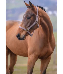 Outlet Licol en nylon à prix cassé Licols Pour Poneys & Poulains|Licols Synthétiques