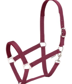 Online Licol en nylon à prix cassé II Licols Pour Poneys & Poulains|Licols Synthétiques