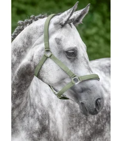 Licol en nylon à prix cassé II Licols Pour Poneys & Poulains|Licols Synthétiques