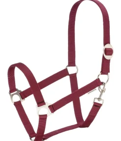 Clearance Licol en nylon à prix cassé Licols Pour Poneys & Poulains|Licols Synthétiques