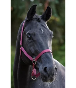 Clearance Licol en nylon à prix cassé Licols Pour Poneys & Poulains|Licols Synthétiques