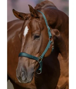 Licol en nylon à prix cassé II Licols Pour Poneys & Poulains|Licols Synthétiques