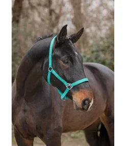 Licol en nylon à prix cassé II Licols Pour Poneys & Poulains|Licols Synthétiques