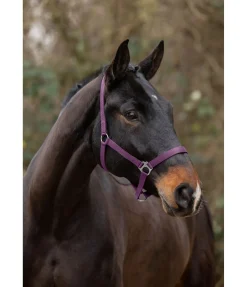 Outlet Licol en nylon à prix cassé Licols Pour Poneys & Poulains|Licols Synthétiques