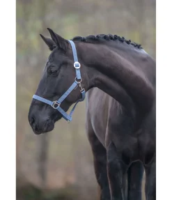 New Licol en nylon à prix cassé Licols Pour Poneys & Poulains|Licols Synthétiques