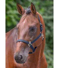 Outlet Licol en nylon à prix cassé Licols Pour Poneys & Poulains|Licols Synthétiques