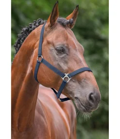 Outlet Licol en nylon à prix cassé Licols Pour Poneys & Poulains|Licols Synthétiques