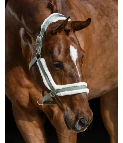 Discount Licol en polaire Teddy Anatomical Relaxation Licols Synthétiques