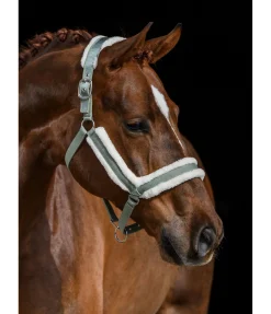 Discount Licol en polaire Teddy Anatomical Relaxation Licols Synthétiques