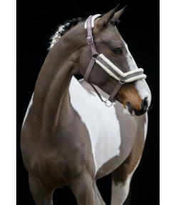 New Licol en polaire Teddy Anatomical Relaxation Licols Synthétiques