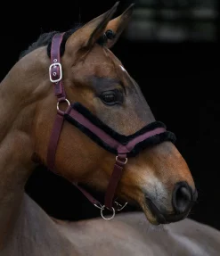 New Licol en polaire Teddy Anatomical Relaxation Licols Synthétiques