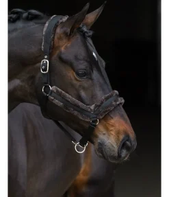 Licol en polaire Teddy Anatomical Relaxation Licols Synthétiques