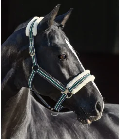 Outlet Licol en polaire Teddy Essential II Fourrure D'Agneau|Licols Pour Poneys & Poulains