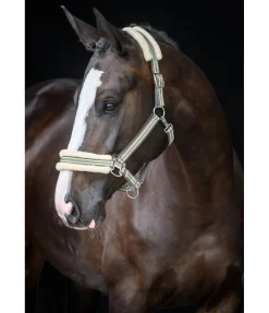 Clearance Licol en polaire Teddy Essential II Fourrure D'Agneau|Licols Pour Poneys & Poulains