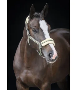 Clearance Licol en polaire Teddy Essential II Fourrure D'Agneau|Licols Pour Poneys & Poulains