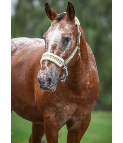 Clearance Licol en polaire Teddy Essential II Fourrure D'Agneau|Licols Pour Poneys & Poulains