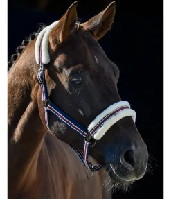 Licol en polaire Teddy Essential II Fourrure D'Agneau|Licols Pour Poneys & Poulains