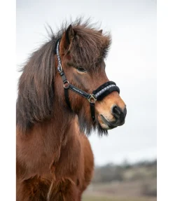 Sale Licol en polaire Teddy Norway Spirit Fourrure D'Agneau|Licols Synthétiques