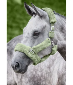 Outlet Licol en polaire Teddy Protection Fourrure D'Agneau|Licols Pour Poneys & Poulains
