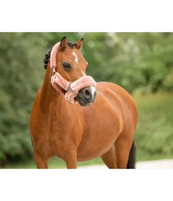 Sale Licol en polaire Teddy Protection Fourrure D'Agneau|Licols Pour Poneys & Poulains