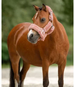 Sale Licol en polaire Teddy Protection Fourrure D'Agneau|Licols Pour Poneys & Poulains