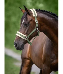 Outlet Licol en polaire Teddy à prix cassé III Fourrure D'Agneau|Licols Pour Poneys & Poulains