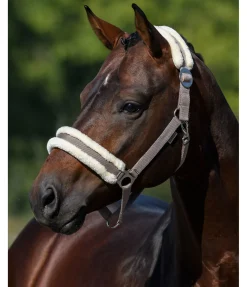 Clearance Licol en polaire Teddy à prix cassé III Fourrure D'Agneau|Licols Pour Poneys & Poulains
