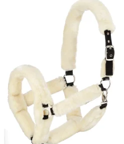Best Licol en polaire Teddy Protection Fourrure D'Agneau|Licols Pour Poneys & Poulains