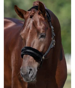 Licol en polaire Teddy à prix cassé III Fourrure D'Agneau|Licols Pour Poneys & Poulains