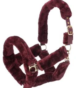 Online Licol en polaire Teddy Protection Fourrure D'Agneau|Licols Pour Poneys & Poulains