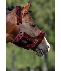 Online Licol en polaire Teddy Protection Fourrure D'Agneau|Licols Pour Poneys & Poulains