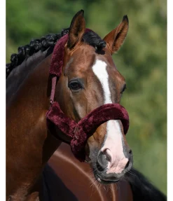 Online Licol en polaire Teddy Protection Fourrure D'Agneau|Licols Pour Poneys & Poulains