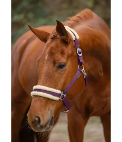 Outlet Licol en polaire Teddy à prix cassé III Fourrure D'Agneau|Licols Pour Poneys & Poulains