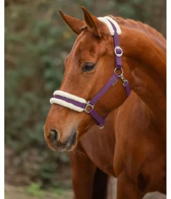 Outlet Licol en polaire Teddy à prix cassé III Fourrure D'Agneau|Licols Pour Poneys & Poulains