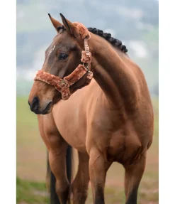 Licol en polaire Teddy Protection Fourrure D'Agneau|Licols Pour Poneys & Poulains
