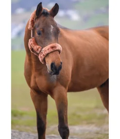 Licol en polaire Teddy Protection Fourrure D'Agneau|Licols Pour Poneys & Poulains