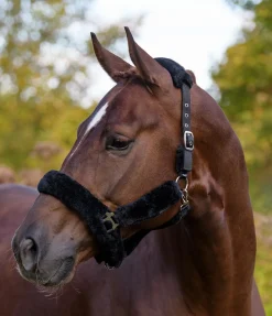 Hot Licol en polaire Teddy Protection Fourrure D'Agneau|Licols Pour Poneys & Poulains