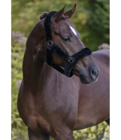 Hot Licol en polaire Teddy Protection Fourrure D'Agneau|Licols Pour Poneys & Poulains