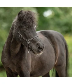 Licol poulain en cuir Classic Licols Pour Poneys & Poulains|Licols En Cuir