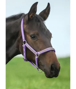 Discount Licol poulain et shetland Blaire Licols Pour Poneys & Poulains|Licols Synthétiques